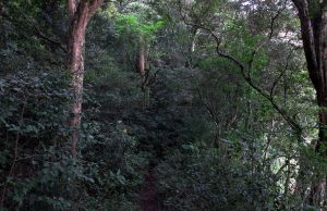 1-IMG_7947.jpg