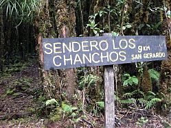 Nombre del archivo=1-Los_Quetzales_237.jpg
Tamaño del archivo=1153Kb
Dimensiones=1104x828
Fecha añadida=20 de Febrero de 15 1-Los_Quetzales_237.jpg
