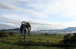 Nombre del archivo=11Grano_de_Oro_002.jpg
Tamaño del archivo=657Kb
Dimensiones=1334x864
Fecha añadida=26 de Mayo de 15 11Grano_de_Oro_002.jpg