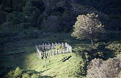 1_MG_7926.jpg