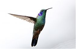 Nombre del archivo=1_T0O1329.jpg
Tamaño del archivo=475Kb
Dimensiones=1632x1056
Fecha añadida=01 de Enero de 15 1_T0O1329.jpg
