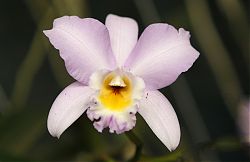 Nombre del archivo=1_T0O6540.jpg
Tamaño del archivo=441Kb
Dimensiones=1183x768
Fecha añadida=08 de Febrero de 15 1_T0O6540.jpg