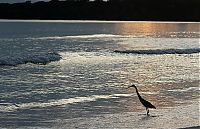 IMG_0627.jpg