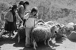 Nombre del archivo=Peru_054.jpg
Tamaño del archivo=1441Kb
Dimensiones=1800x1200
Fecha añadida=22 de Julio de 15 Peru_054.jpg