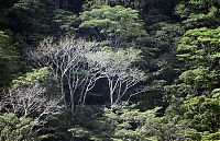 _MG_6725.jpg