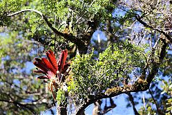 Nombre del archivo=aa-Los_Quetzales_2_011.jpg
Tamaño del archivo=1278Kb
Dimensiones=1104x736
Fecha añadida=20 de Febrero de 15 aa-Los_Quetzales_2_011.jpg