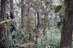 Nombre del archivo=aa-Los_Quetzales_2_223.jpg
Tamaño del archivo=1366Kb
Dimensiones=1104x736
Fecha añadida=20 de Febrero de 15 aa-Los_Quetzales_2_223.jpg