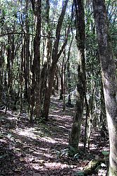 Nombre del archivo=aa-Los_Quetzales_2_452.jpg
Tamaño del archivo=1339Kb
Dimensiones=736x1104
Fecha añadida=20 de Febrero de 15 aa-Los_Quetzales_2_452.jpg