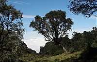 Nombre del archivo=prusia-4_114.jpg
Tamaño del archivo=2019Kb
Dimensiones=1632x1056
Fecha añadida=15 de Diciembre de 14 prusia-4_114.jpg