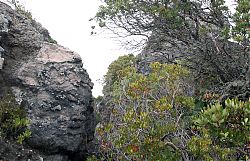 Nombre del archivo=prusia_238.jpg
Tamaño del archivo=1839Kb
Dimensiones=1632x1056
Fecha añadida=31 de Diciembre de 14 prusia_238.jpg